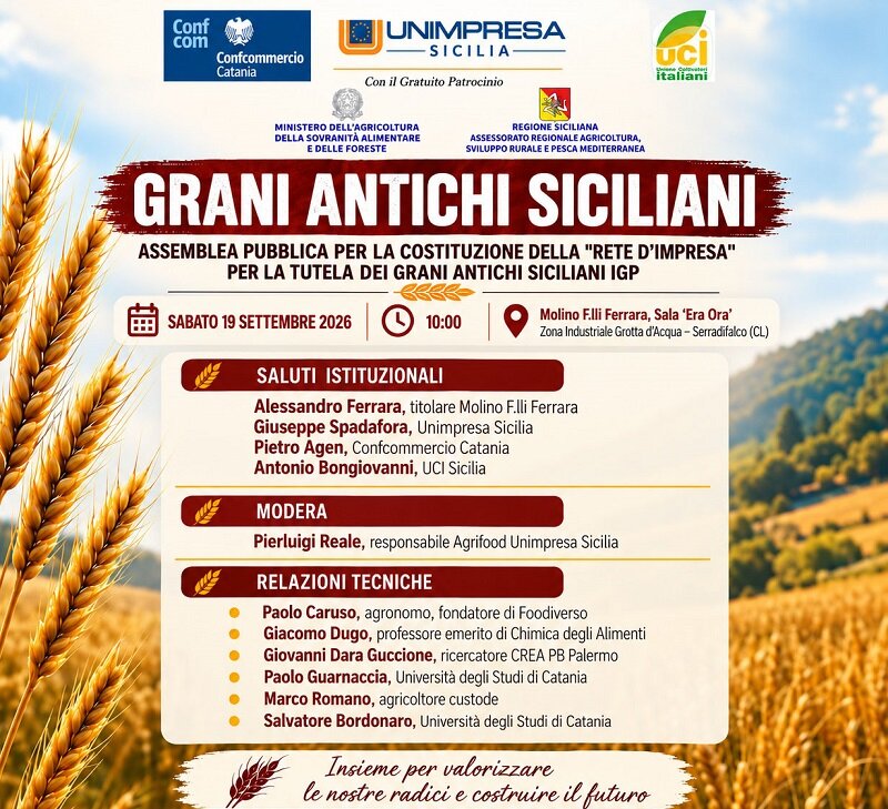 Grani Antichi Siciliani, dalla Rete d'Impresa al riconoscimento IGP Grani Antichi Siciliani, dalla Rete d'Impresa al riconoscimento IGP