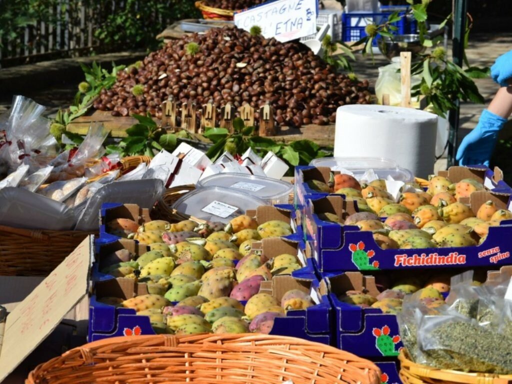 Alimena celebra la Sagra del Ficondindia e del Masticuttè