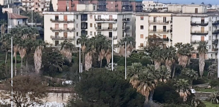 A ‘Borgo-Sanzio’ abbandonate zone verdi, pubbliche e private e rischio incendi