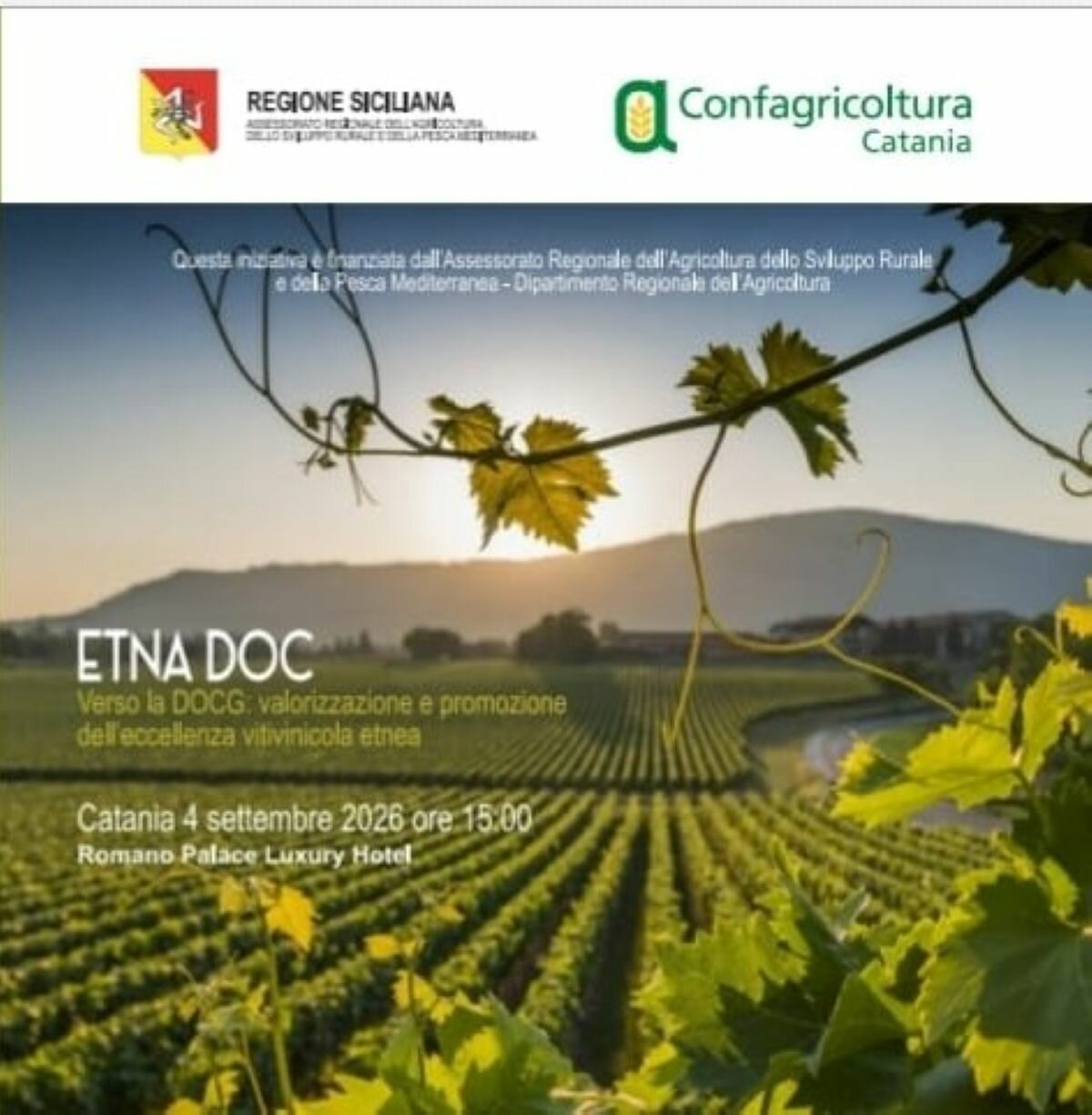Etna doc. Verso la DOCG: valorizzazione e promozione dell'eccellenza vitivinicola etnea