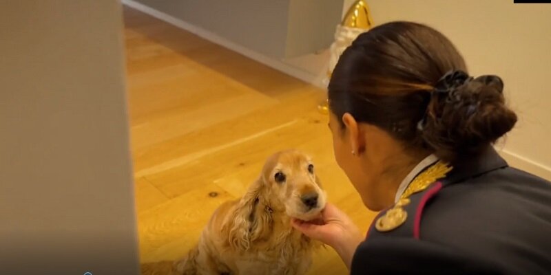 Polizia di Stato, nuovo spot contro l&rsquo;abbandono degli animali durante il periodo estivo