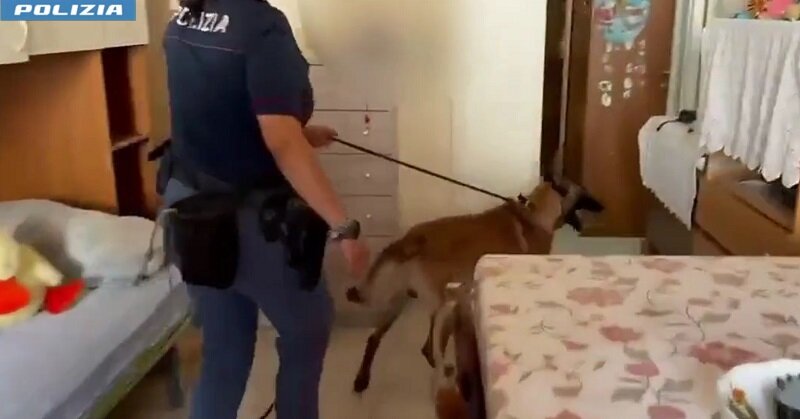 Rex fiuta la droga nella cameretta di un quattordicenne a San Cristoforo, pusher arrestato dalla Polizia di Stato