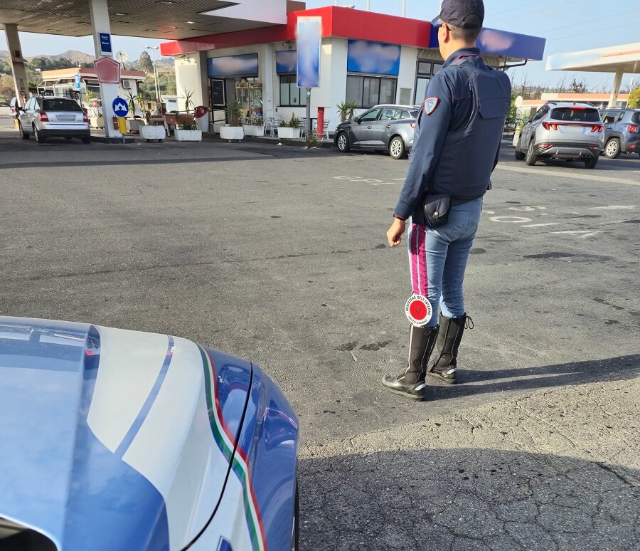 Trovati e salvati dalla Polizia di Stato 10 vitelli stipati nel cofano di un furgone