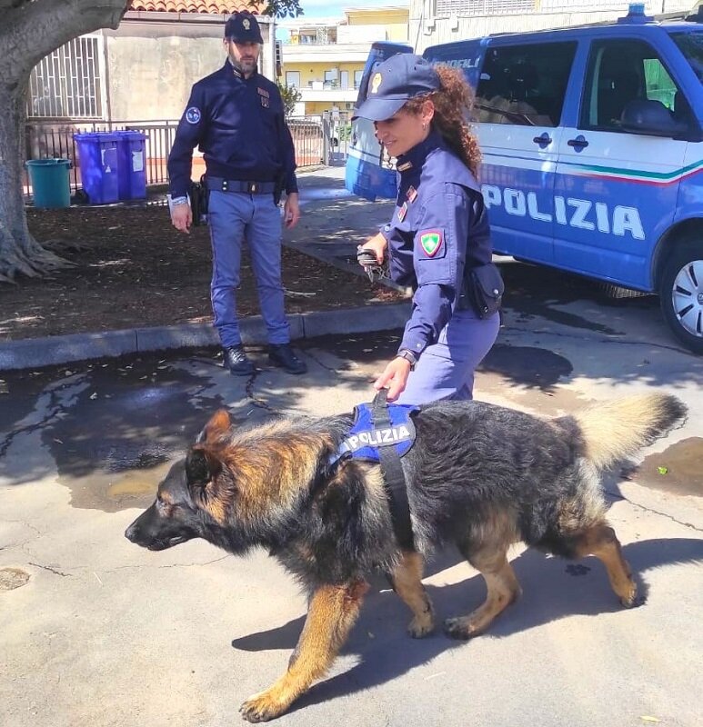 In auto con decine di dosi di hashish e marijuana