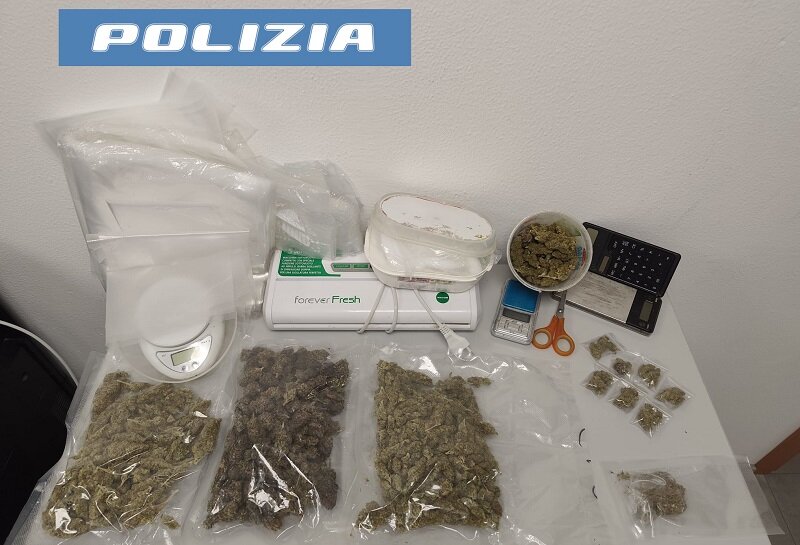 Evade dai domiciliari per portare a spasso il cane