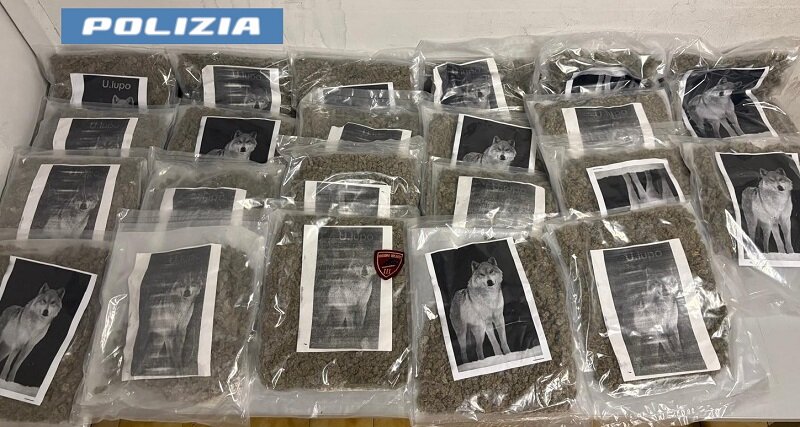 La Polizia di Stato sequestra 20 kg di marijuana grazie alla segnalazione di un cittadino