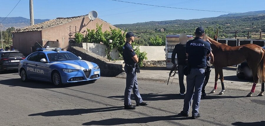 Contrasto alle corse clandestine di cavalli, intervento interforze della Polizia di Stato e dell&rsquo;arma dei Carabinieri tra Patern&ograve; e Adrano