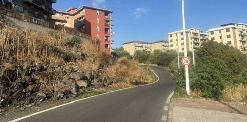 via-degli-ulivi-stato-di-fatto.jpeg via-degli-ulivi-stato-di-fatto.jpeg