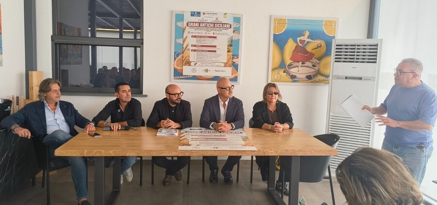 Grani Antichi Siciliani, nasce la Rete per l'IGP, una filiera da 200 milioni che punta al miliardo