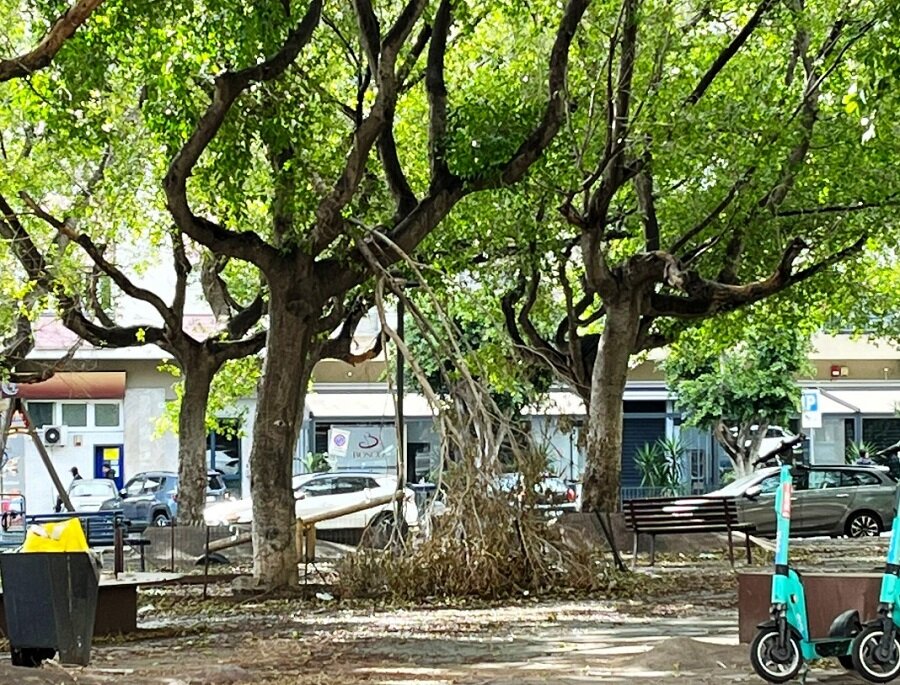 Il quartiere Borgo-Sanzio nel degrado e senza manutenzione del verde pubblico