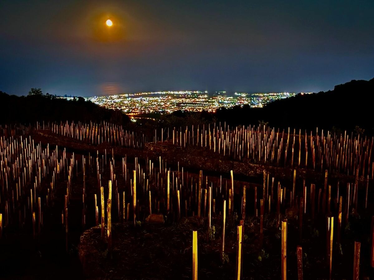 'Notturno Favazza' tra arte, musica e degustazioni di vini Etna DOC