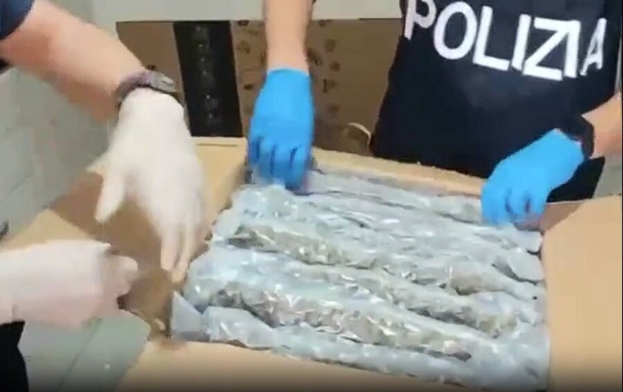 Produceva marijuana adulterata e documenti falsi