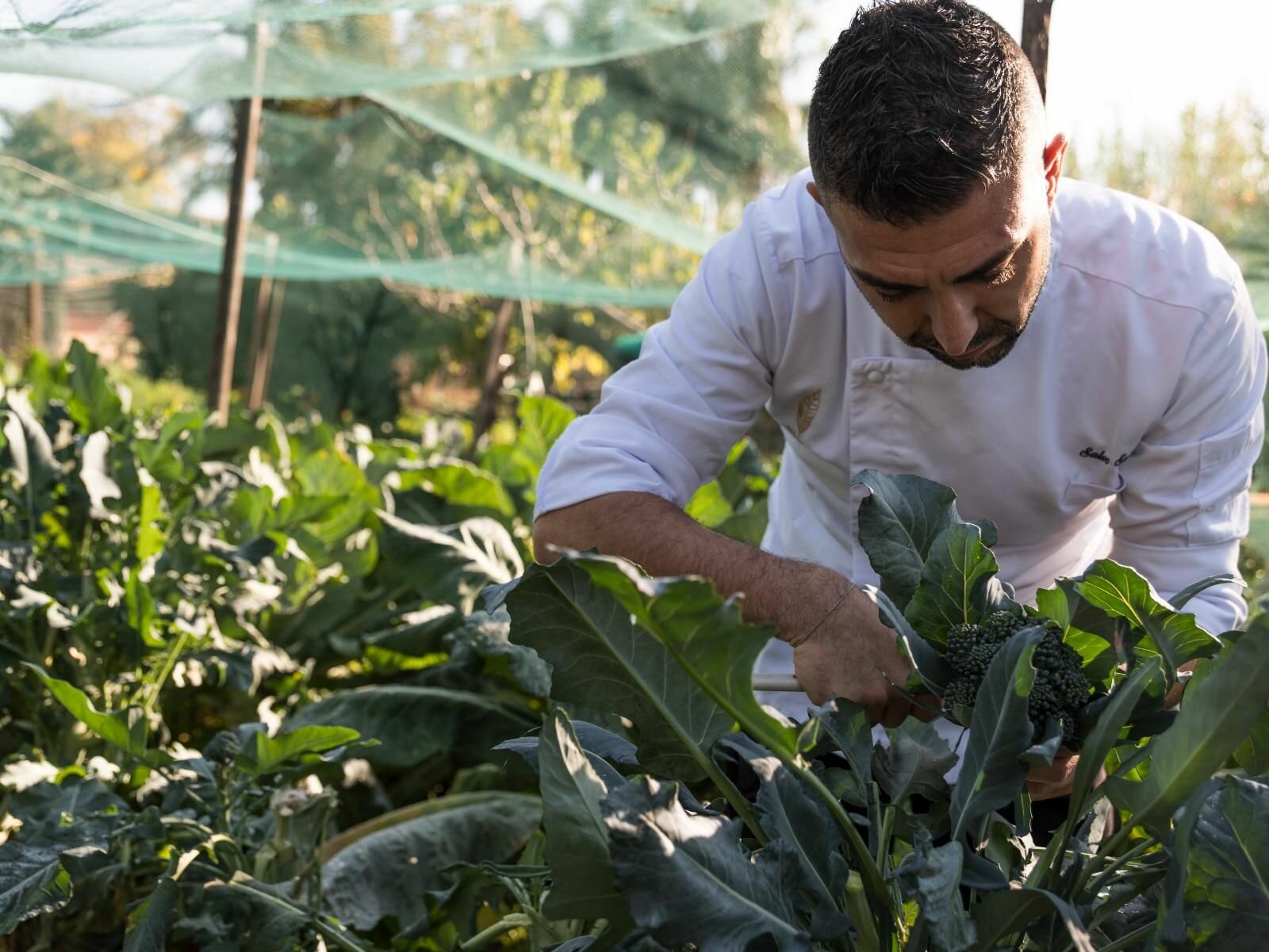 &ldquo;Sinergie d&rsquo;Autore&rdquo;, per un&rsquo;unica visione contemporanea del gusto