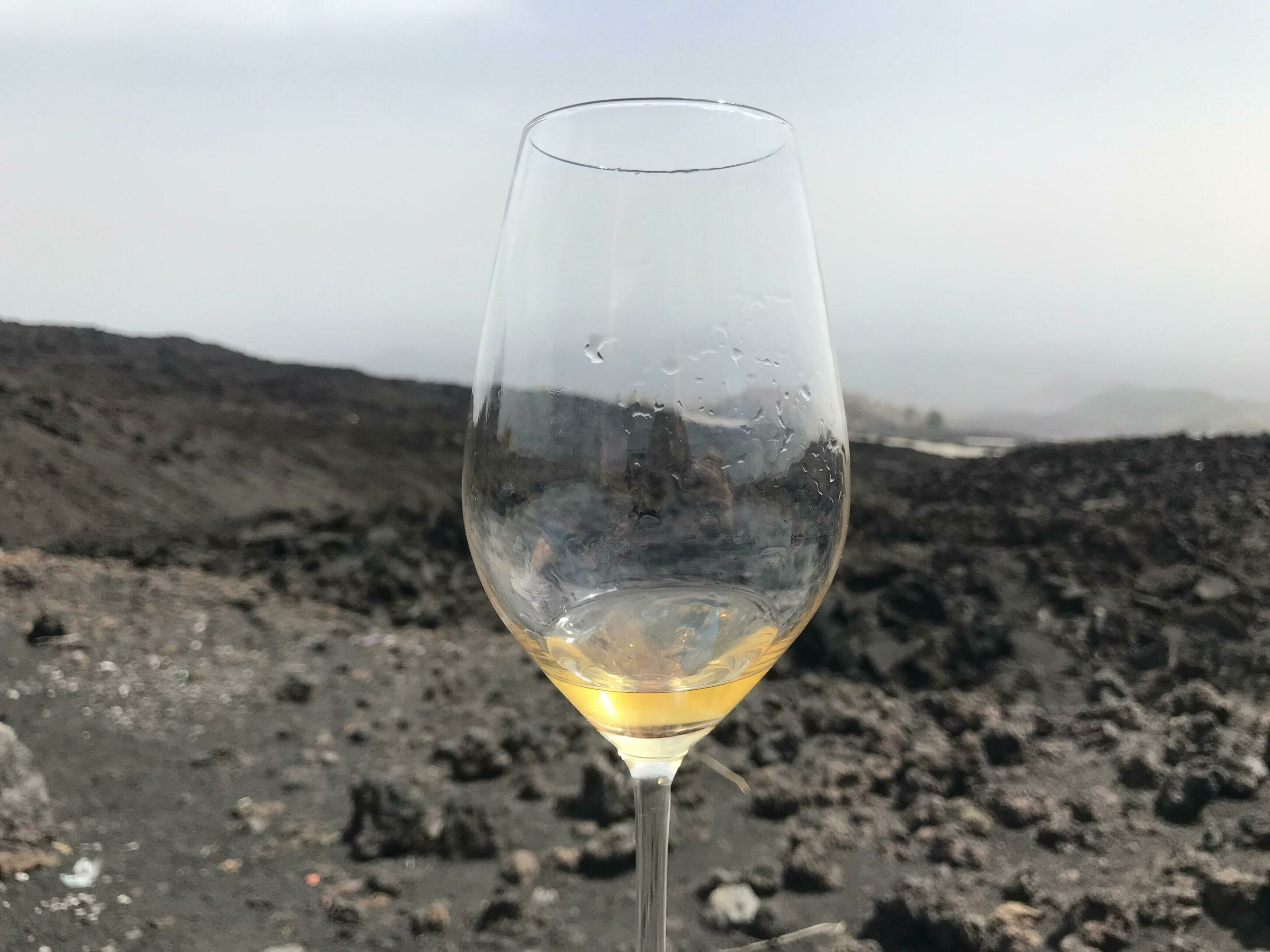 A Randazzo &ldquo;Radici Vulcaniche&rdquo;, festival sui vini dell&rsquo;Etna