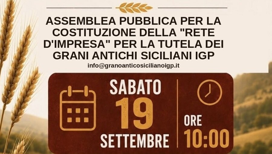 Grani Antichi Siciliani, verso l'IGPP e il Consorzio di tutela, Il 19 settembre l'assemblea a San Cataldo
