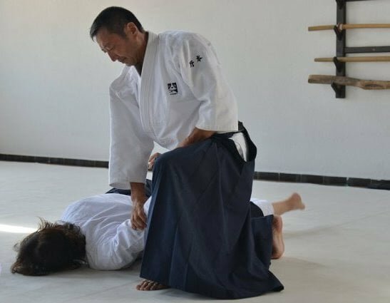 aikido-1.jpeg aikido-1.jpeg