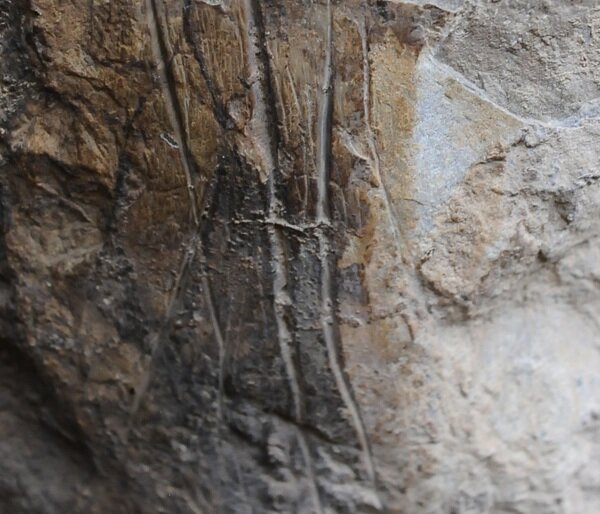 A Termini Imerese visita guidata ai Ripari preistorici con arte rupestre A Termini Imerese visita guidata ai Ripari preistorici con arte rupestre