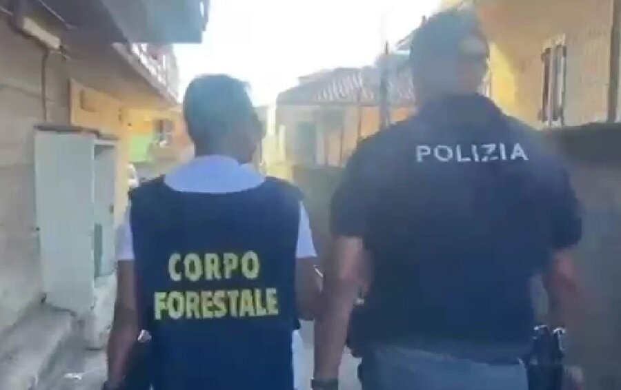 Panificio e laboratorio di pasticceria abusivi scoperti dalla Task force coordinata dalla Polizia di Stato