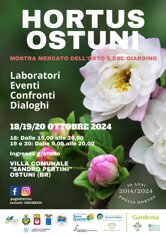 0fbf3b3b63d3dbf47b3793e73d67e8d13342c96e