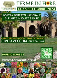 22f8ea6870e9fdc024fcceb82797cb42b01a56d6