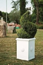 pilone-con-rosone-pr70