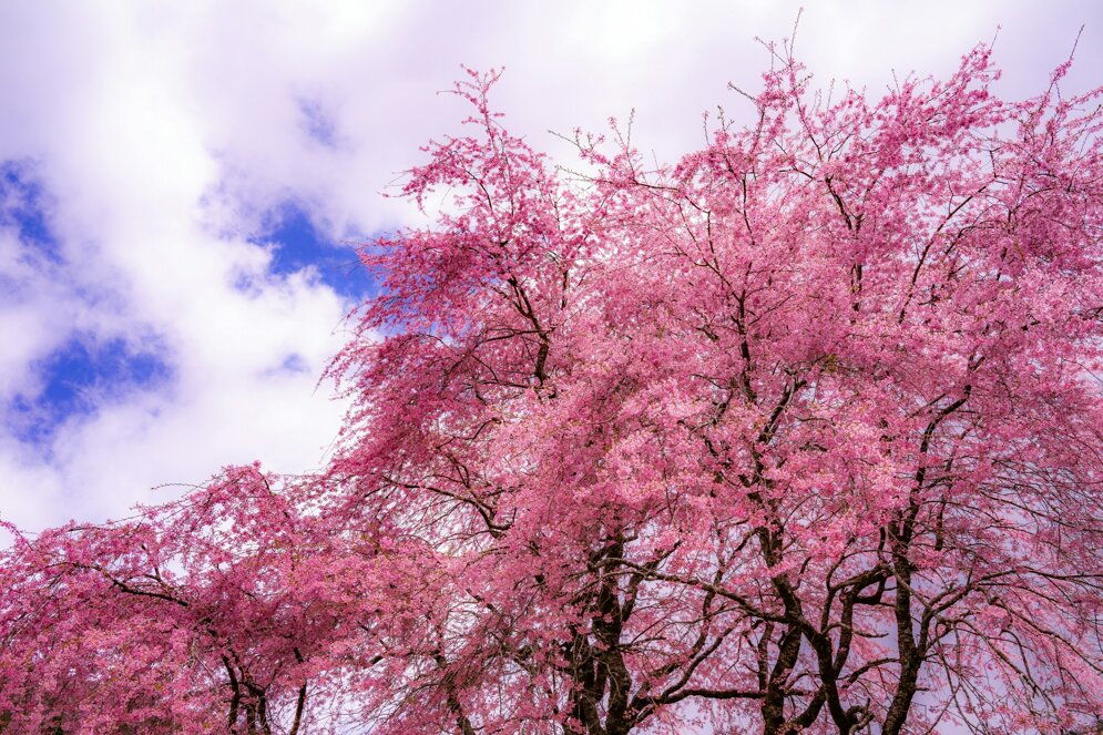 4a00a229ecc063a45c8baa23fe9e7ca1b33a29b6