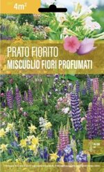 prato-fiorito-miscuglio-per-fiori-profumati