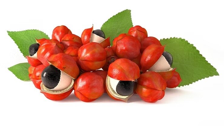 GUARANA' GUARANA'