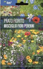 semi-di-prato-fiorito-miscuglio-fiori-perenni