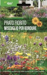 prato-fiorito-miscuglio-per-bordure