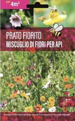 prato-fiorito-miscuglio-di-fiori-per-api