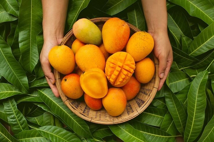 MANGO MANGO
