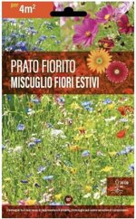 semi-di-prato-fiorito-miscuglio-per-fiori-estivi