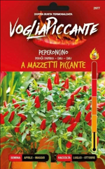 peperoncino-a-mazzetti-piccante
