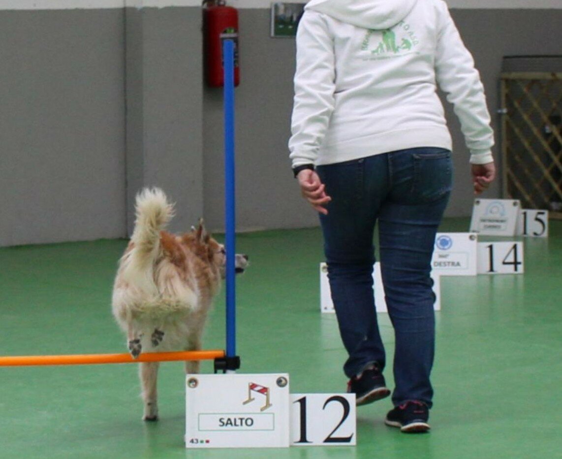 HAI MAI PENSATO DI PRATICARE UNO SPORT CON IL TUO CANE?
