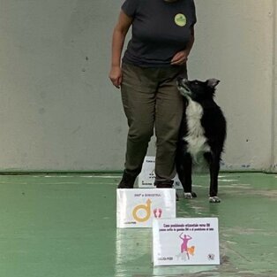 eyJpdCI6IlNwb3J0IGNpbm9maWxpIGUgYXR0aXZpdOAgbHVkaWNoZSBwZXIgaWwgdHVvIGNvbXBhZ25vIGEgNCB6YW1wZS4gSW4gcHJvdmluY2lhIGRpIE1pbGFubyJ9