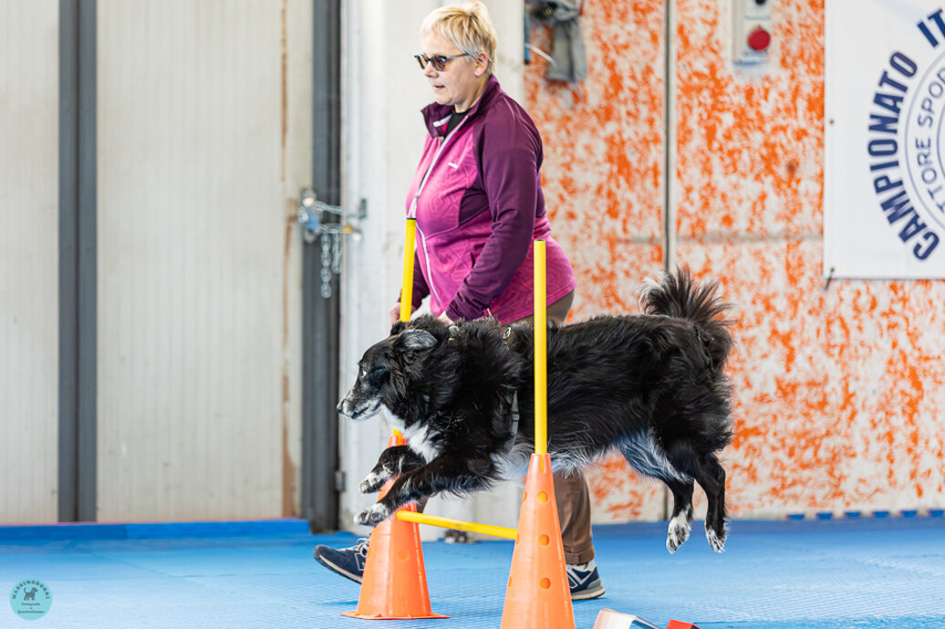 eyJpdCI6IlNwb3J0IGNpbm9maWxpIGUgYXR0aXZpdOAgbHVkaWNoZSBwZXIgaWwgdHVvIGNvbXBhZ25vIGEgNCB6YW1wZS4gSW4gcHJvdmluY2lhIGRpIE1pbGFubyJ9