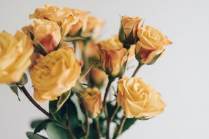 Rosas amarillas