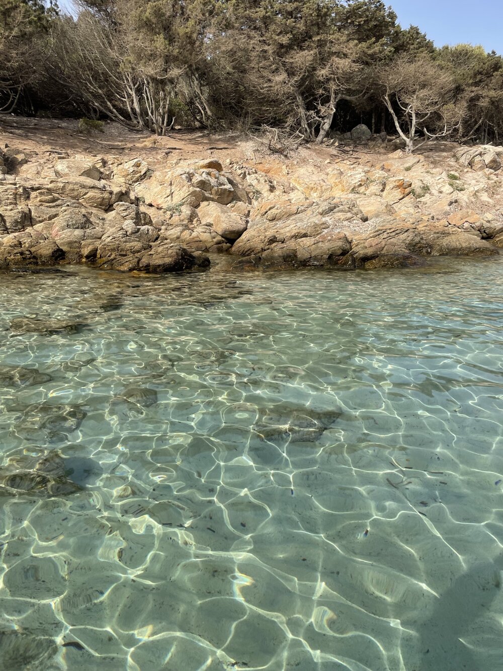 XeH8VlYESq68y426Bvhuxg