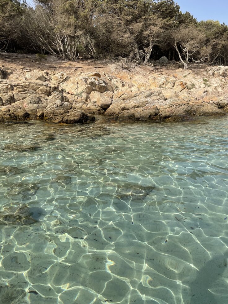 eyJpdCI6IlhlSDhWbFlFU3E2OHk0MjZCdmh1eGcifQ==