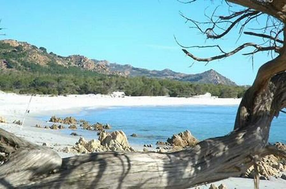 4f87223b-5d37-46e1-898d-7afe4f4e9809