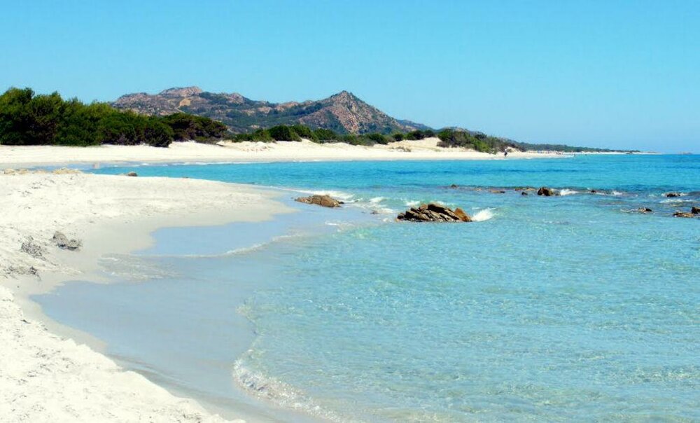 ba833abf-1ebb-44c1-a025-c89c8a708f36