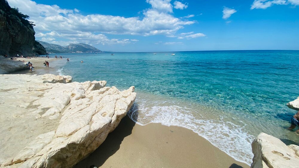 eb77694f-f3bb-401a-a645-ea55cf27a99d