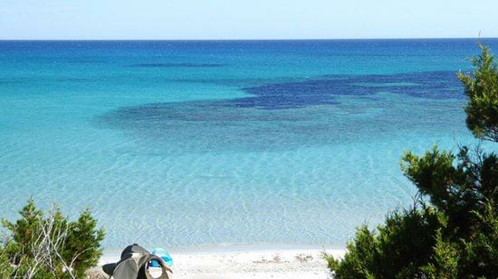 dfdc9a51-6822-4c46-bf05-784f1d6c3b86