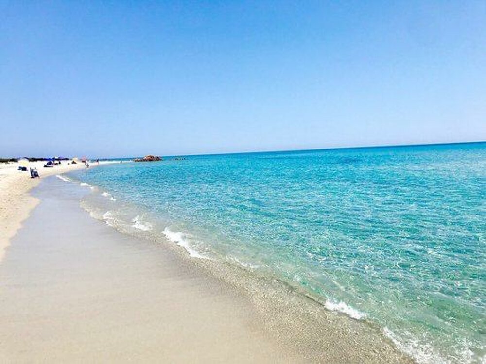 1e8212c1-88e0-45db-a984-ff4031efcf17