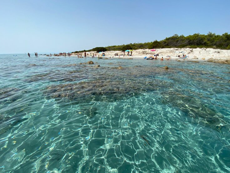 eyJpdCI6IjUyZWZhYmZlLWEwMWQtNGE5YS05NTZmLTFhNmY1MWEzMGE0ZCJ9