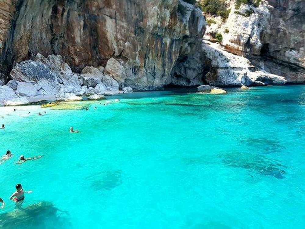 1689ced9-7926-4bbc-adf1-de3072b44979