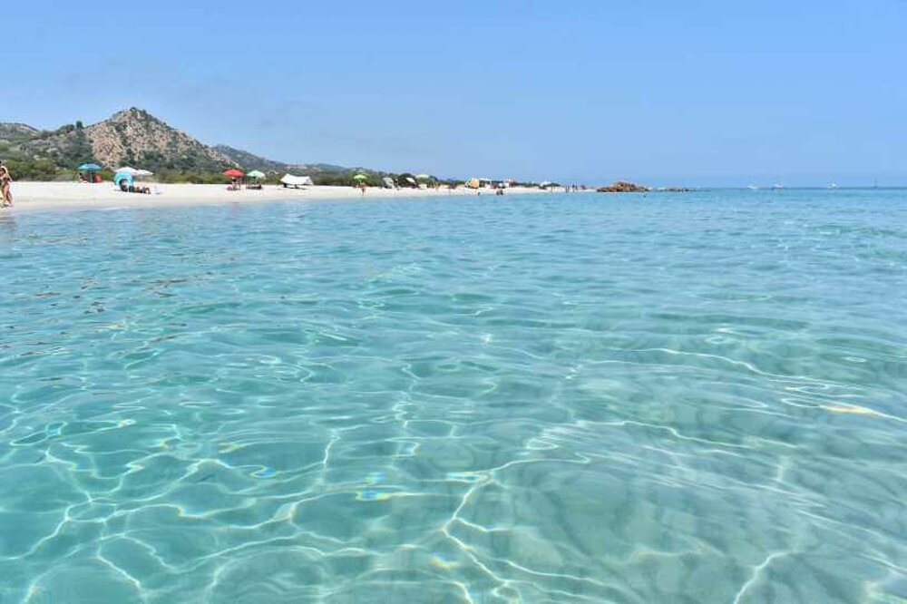 a2e30c22-9b8f-4d41-b4e0-c08d43804acf