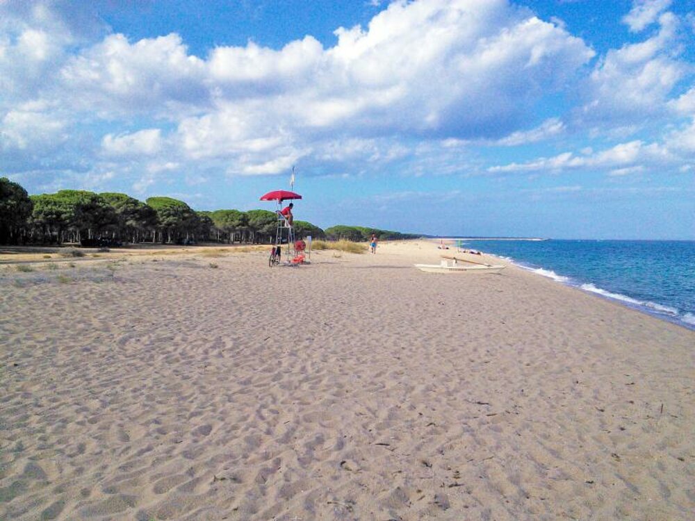 838957aa-8f5a-4a21-85c1-add79578f1b2