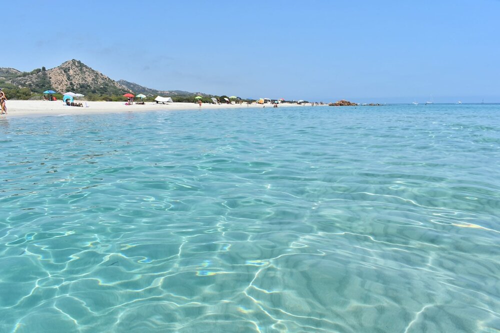 f15a11ada63dbc09cecffd6f76b1d05b5de8b96a